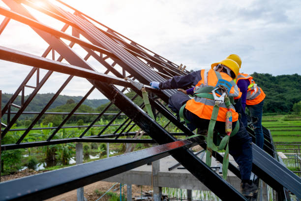 Best Metal Roofing Contractor  in Palmetto, GA