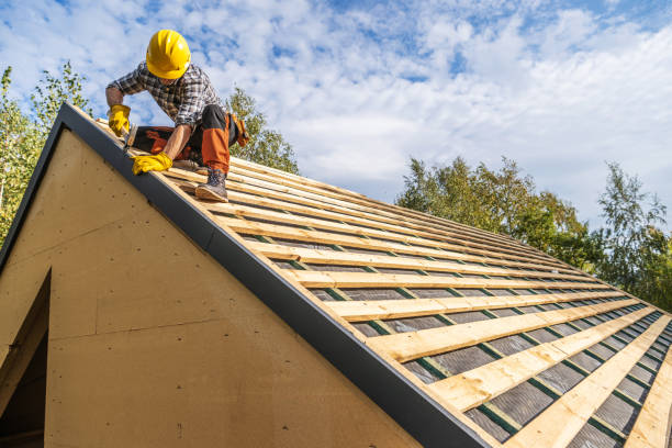Best Roof Gutter Cleaning  in Palmetto, GA