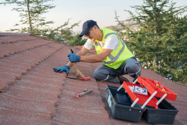 Best Roof Waterproofing Services  in Palmetto, GA