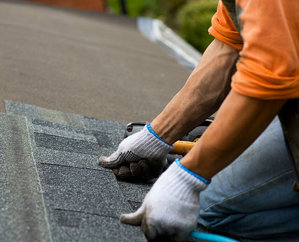 Best Roof Replacement Cost  in Palmetto, GA
